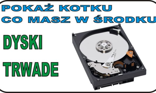 POKAŻ KOTKU … – Co ma w sobie dysk twardy. Odzysk elementów.