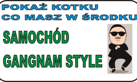 POKAŻ KOTKU … – Rozbieranko samochodu Gangam Style :)